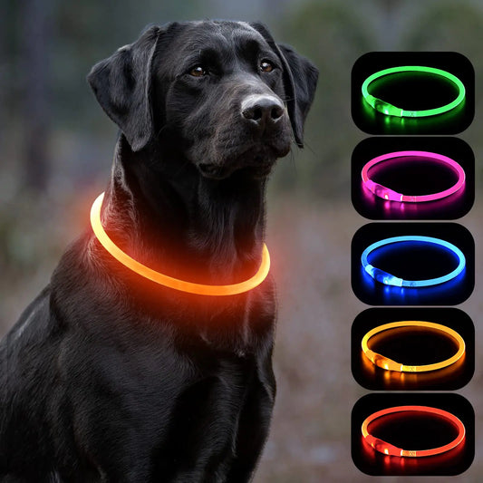 Beastlo Vizbrite LED Dog Collar – USB Rechargeable & Waterproof Night Safety Collar
