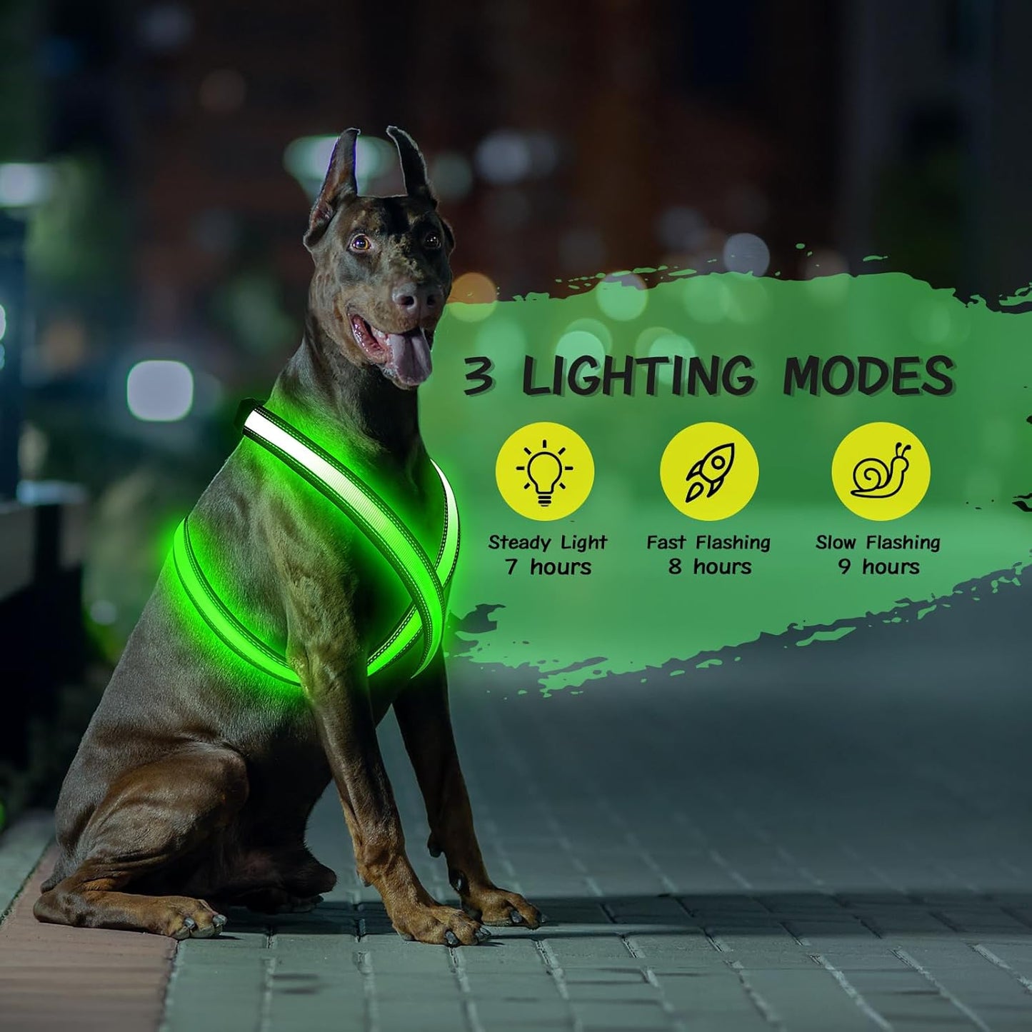 Beastlo LED Dog Harness – Rechargeable, Reflective & Adjustable Night Safety Vest
