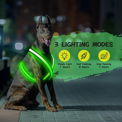 Beastlo LED Dog Harness – Rechargeable, Reflective & Adjustable Night Safety Vest