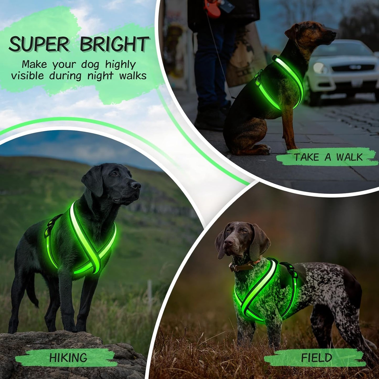 Beastlo LED Dog Harness – Rechargeable, Reflective & Adjustable Night Safety Vest