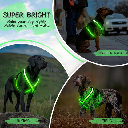 Beastlo LED Dog Harness – Rechargeable, Reflective & Adjustable Night Safety Vest