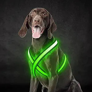 Beastlo LED Dog Harness – Rechargeable, Reflective & Adjustable Night Safety Vest