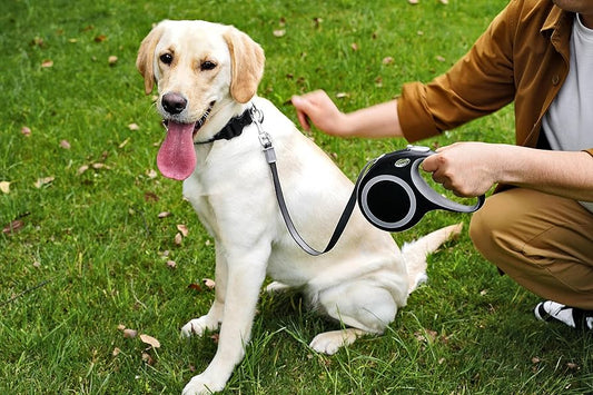 Beastlo Smart Retractable Leash – Freedom & Control for Your Pet