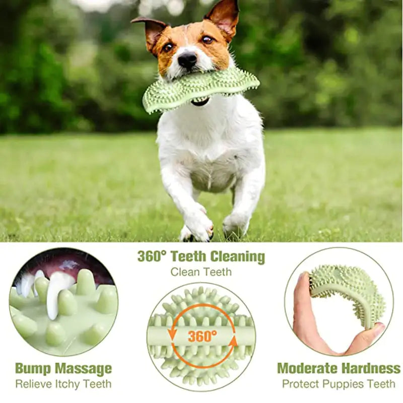 Beastlo Chew Teeth Stick Dog Toy – Fun, Durable & Healthy Play