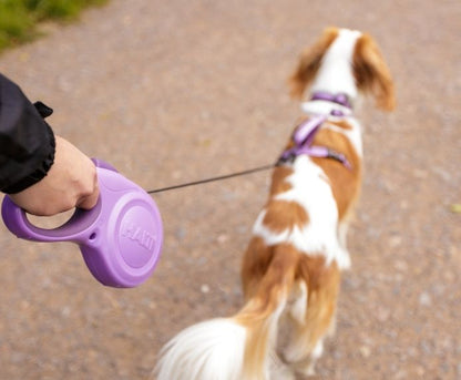 Beastlo Smart Retractable Leash – Freedom & Control for Your Pet