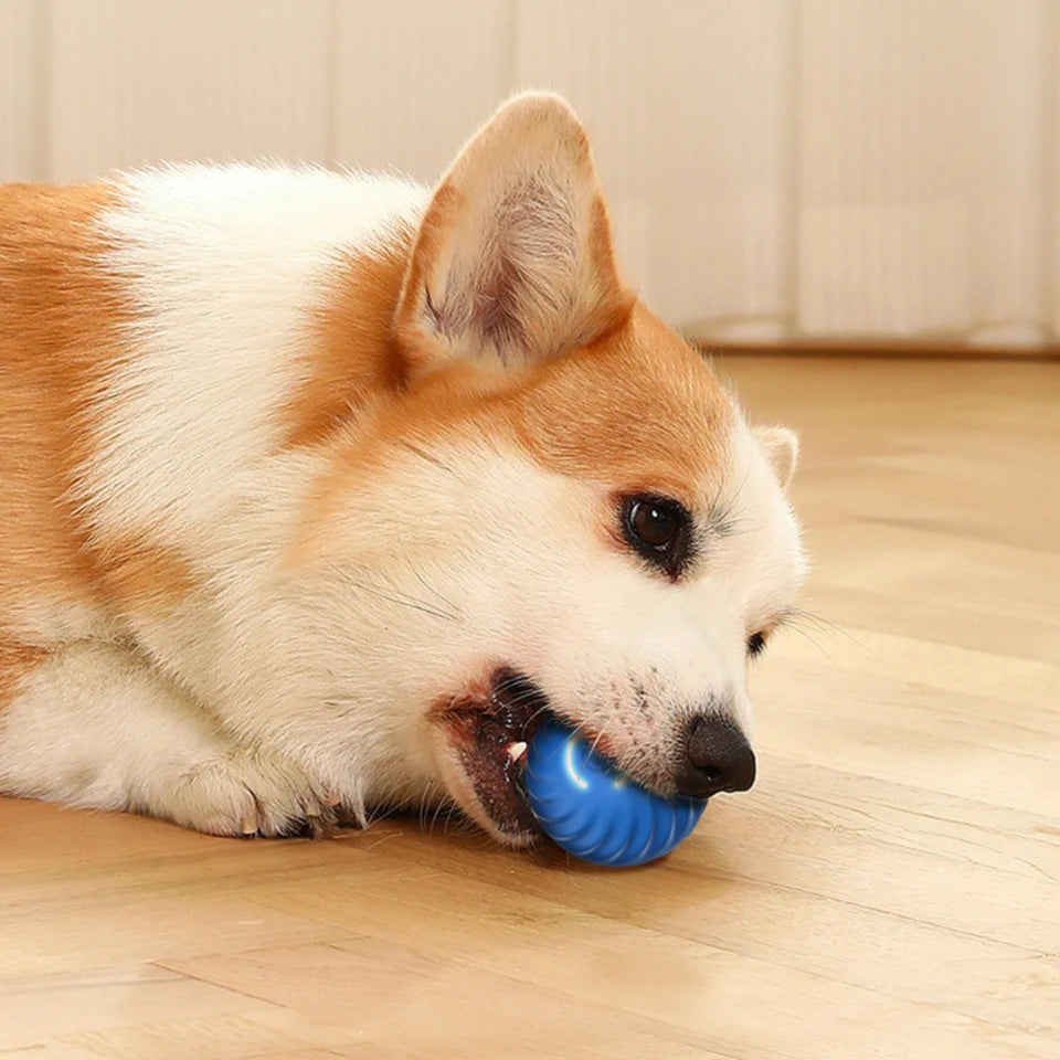 Beastlo Interactive Smart Dog Toy Ball – Automatic Bouncing Fun