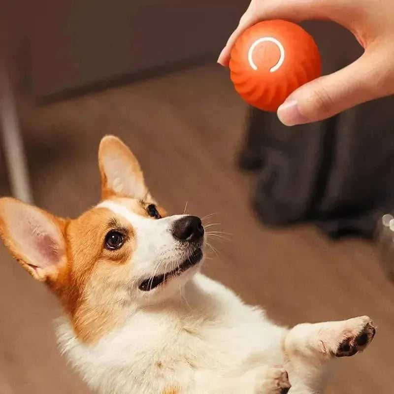 Beastlo Interactive Smart Dog Toy Ball – Automatic Bouncing Fun