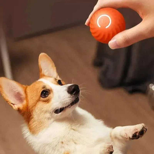 Beastlo Interactive Smart Dog Toy Ball – Automatic Bouncing Fun