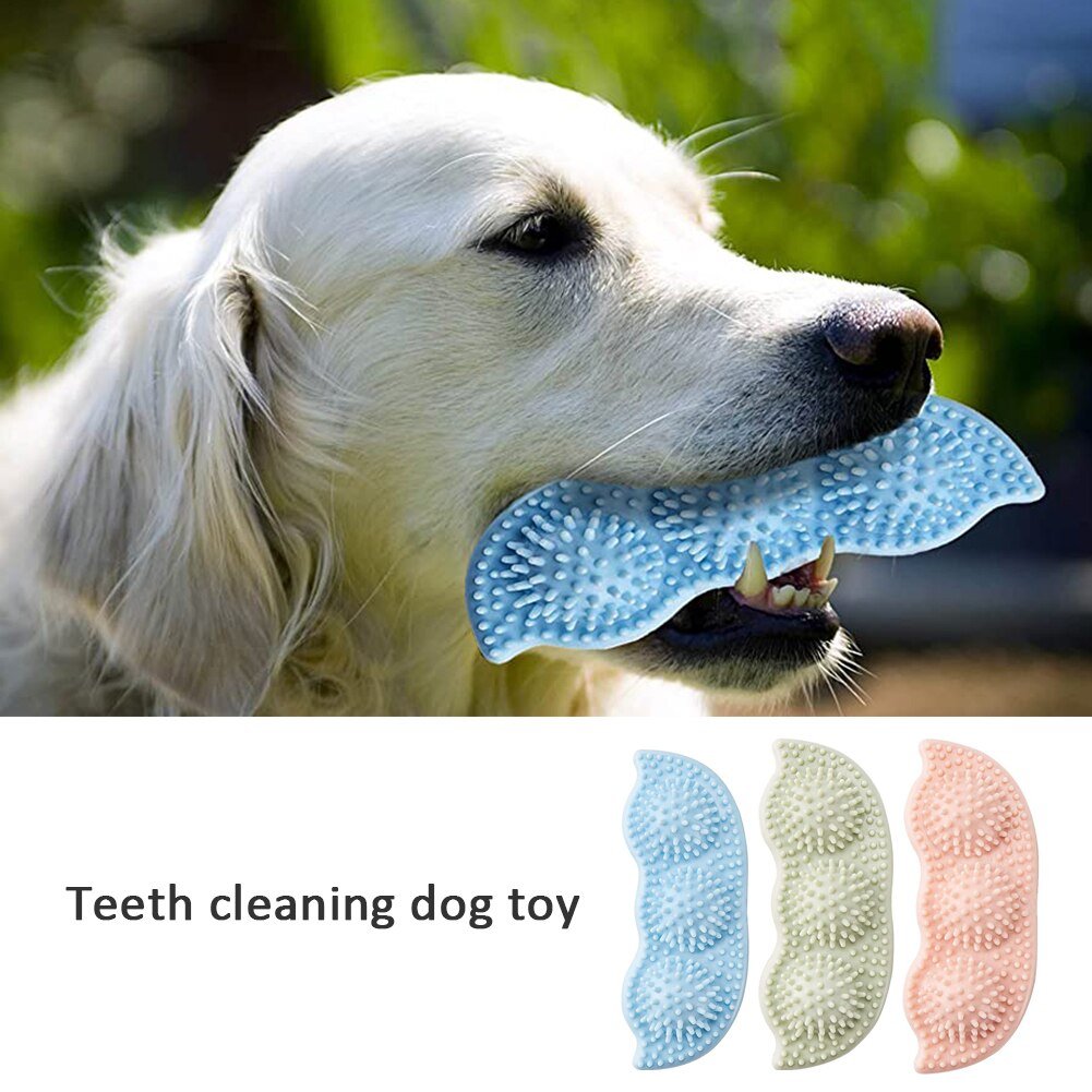 Beastlo Chew Teeth Stick Dog Toy – Fun, Durable & Healthy Play