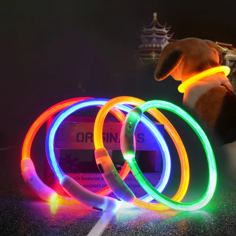 Beastlo Vizbrite LED Dog Collar – USB Rechargeable & Waterproof Night Safety Collar