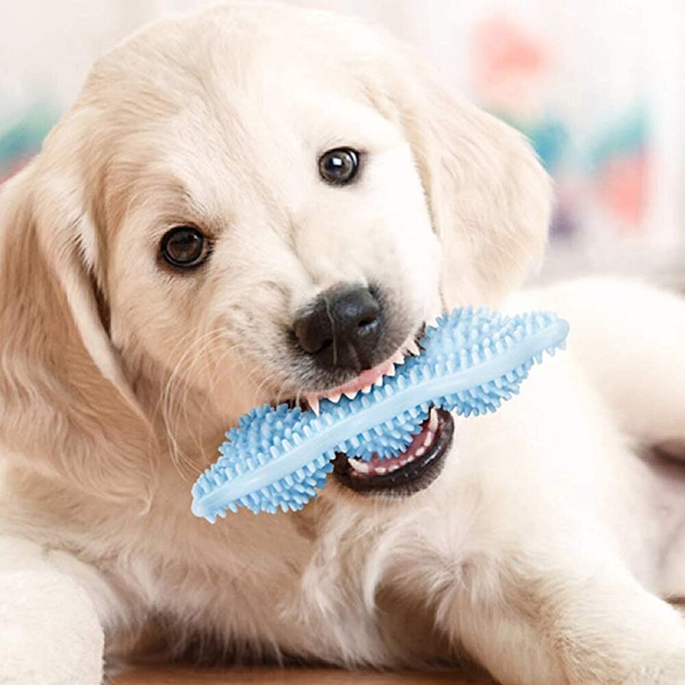 Beastlo Chew Teeth Stick Dog Toy – Fun, Durable & Healthy Play