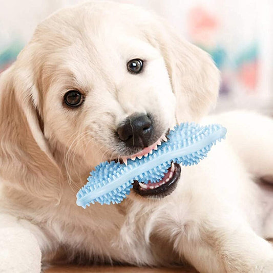 Beastlo Chew Teeth Stick Dog Toy – Fun, Durable & Healthy Play