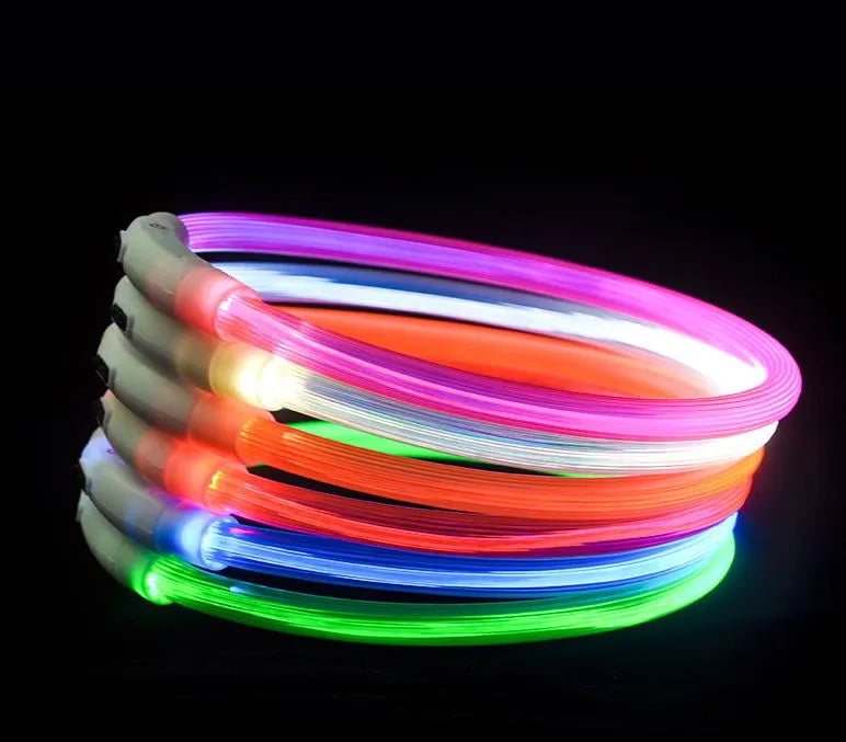 Beastlo Vizbrite LED Dog Collar – USB Rechargeable & Waterproof Night Safety Collar