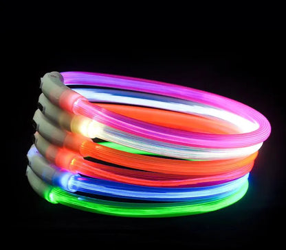 Beastlo Vizbrite LED Dog Collar – USB Rechargeable & Waterproof Night Safety Collar