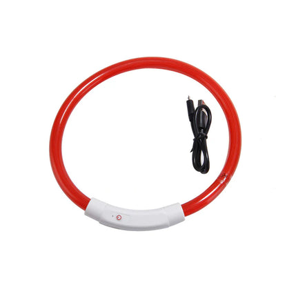 Beastlo Vizbrite LED Dog Collar – USB Rechargeable & Waterproof Night Safety Collar