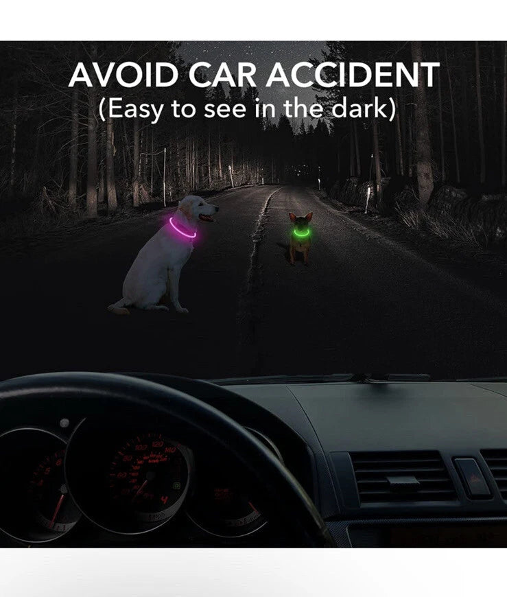 Beastlo Vizbrite LED Dog Collar – USB Rechargeable & Waterproof Night Safety Collar