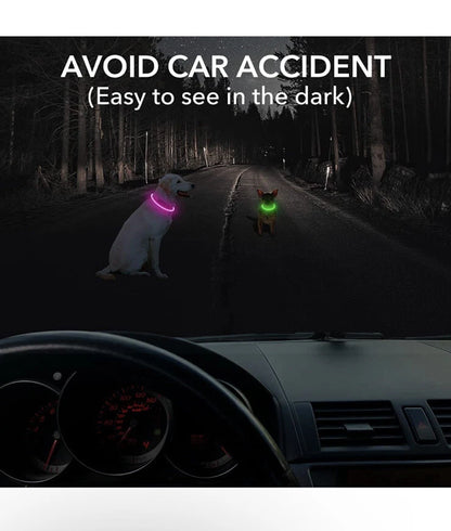 Beastlo Vizbrite LED Dog Collar – USB Rechargeable & Waterproof Night Safety Collar