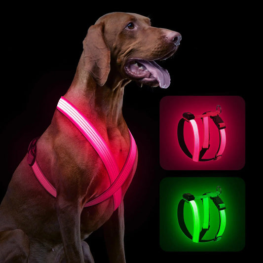 Beastlo LED Dog Harness – Rechargeable, Reflective & Adjustable Night Safety Vest